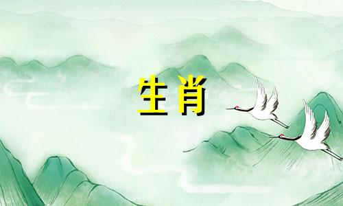 男性属虎的人应该避免与哪个生肖相冲突 与虎相冲的属相是什么