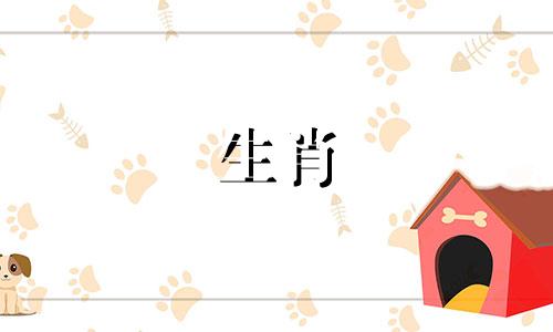 生肖虎与其他属相的配对情况 与哪个属相最相配