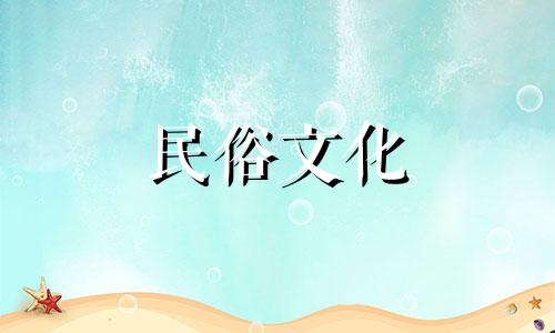 蒲公英种植的风水禁忌是什么？同时，风水中蒲公英代表什么？