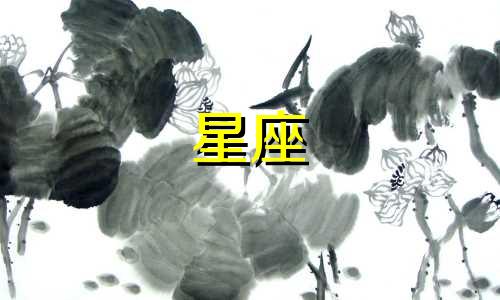 史上最准确的十二星座分析 十二星座超准确性格分析12星座性格分析