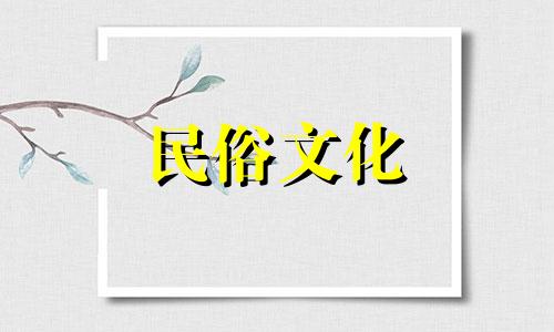 家中球兰风水禁忌图解：养花的风水注意事项