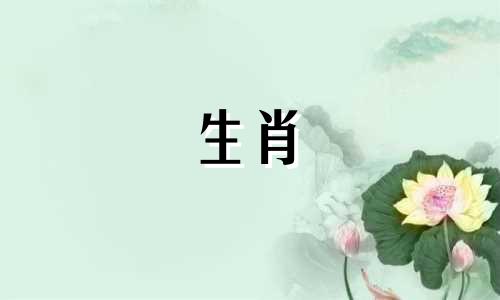 小数属于哪个生肖属相呢 小数中十二生肖是什么