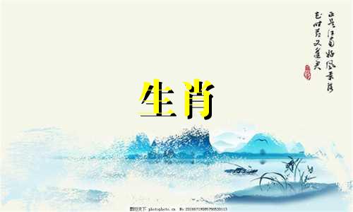 兔宝宝忌父母的属相，菩提子适合什么属相的人？