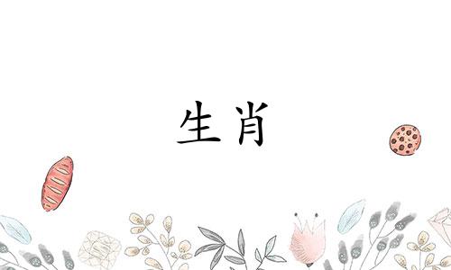 罗字代表哪个生肖属相 北风吹罗带是什么属相，北风吹罗带。猜一生肖