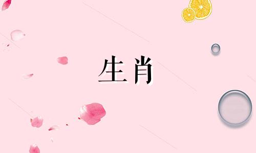 生肖十二属相排序表图 如何正确书写十二生肖的顺序