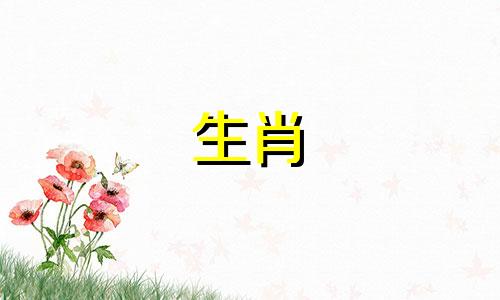 生肖马的最佳配偶是什么属相？