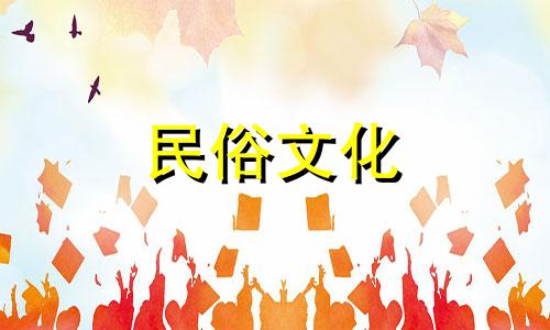 杨澜八字算命视频在线观看 幽默搞笑句子