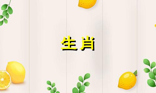 哪个生肖是阴性的男孩 十二生肖中哪些属于阴性生肖，哪些属于阳性生肖