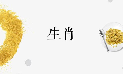 哪些属相与生肖龙相合 属龙与什么属相相配