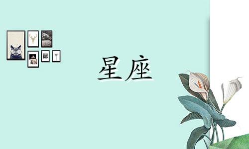 "美术专业星座分析：哪些星座最具美术天赋？"