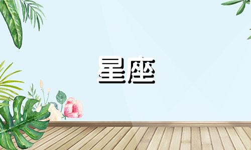 陶伯伯星座分析表图片 龙珠中陶伯伯出现在哪一季