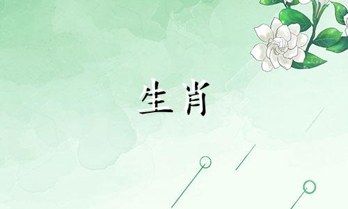 1990年6月18日的生肖是什么？