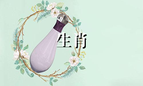 什么样的生肖配属相最好 什么属相在一起最好