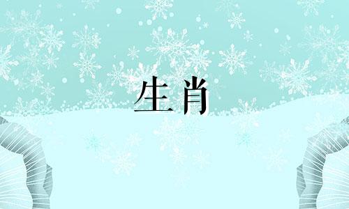 兔子最相配的生肖属相