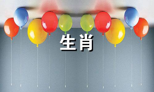 哪个属相与生肖猪最相配 属猪的与哪些属相最适合结婚