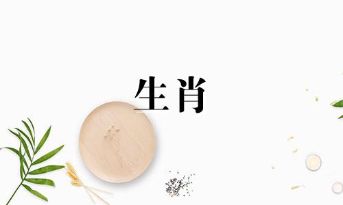 生肖是按农历还是阳历算，对生活保持热情的生肖