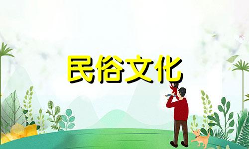 详解视频：家里养龟的风水禁忌图例 龟池风水