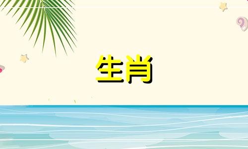 这些生肖具有高度的运行思维能力，并且与黑曜石有着较强的关联。