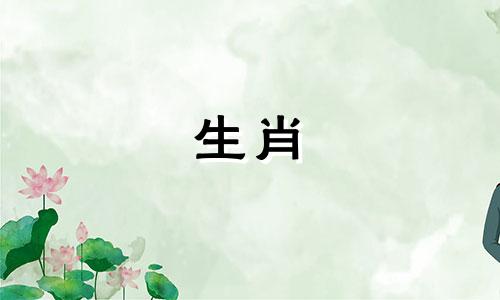 兔子的生肖和属相是否相配 属兔的人和属兔的人结婚是否合适