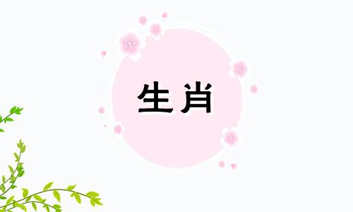 生肖兔与兔子属相是否相合