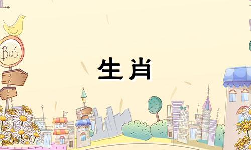 属猪女哪个月较有福气哪些生肖较聪明