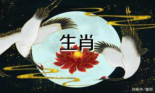 四大属相在生肖中的含义是什么？十二生肖中哪个被称为大属相，大肖指的是哪个生肖？