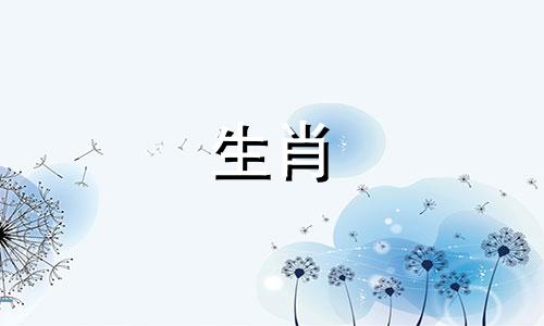 陆子艺的生肖属相是什么？她是如何出道的？