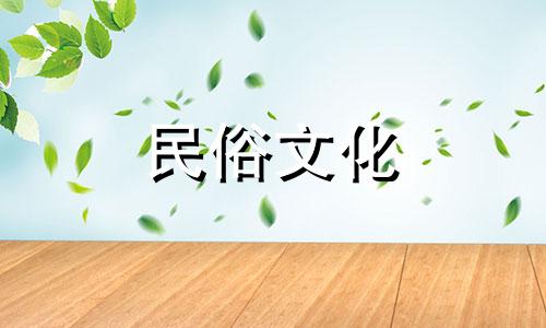 有哪些植物摆放的风水禁忌 室内养花的风水禁忌大全，不看会吃亏