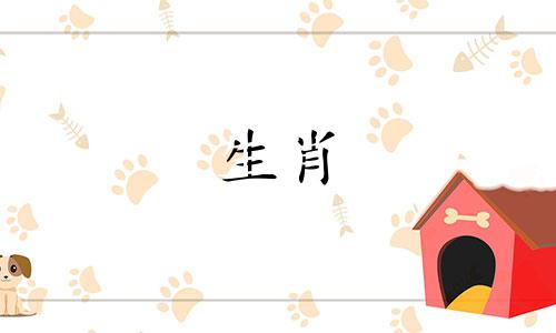 生肖女猪与十二属相的婚配表 属猪女性与十二生肖的最佳配偶，属猪的女性最适合哪个属相