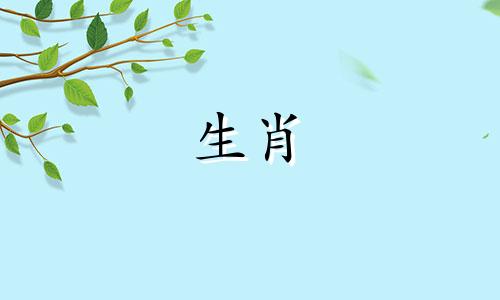 十二生肖属相禁忌查询表 十二生肖的相生相克表可以改写为十二生肖属相禁忌查询表