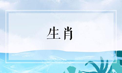 十二生肖分类大全:四个属相 十二生肖中哪个属相是大属相,12生肖中都有哪些是大生肖
