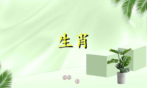 乌烟瘴气三大生肖属相相冲 属鼠与属兔相冲相克，属鼠与属兔的婚配