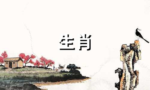 属猪人的生肖运势如何 出生命运