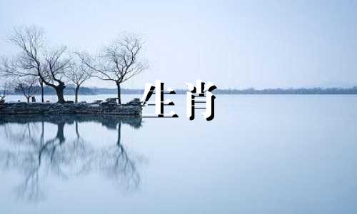 最容易发福的男孩生肖 命特别好的男性生肖,最有发财命的4大生肖