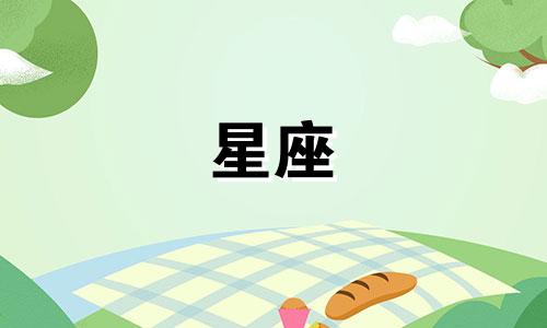 十二星座的性格特点与属鼠的人有何相似之处