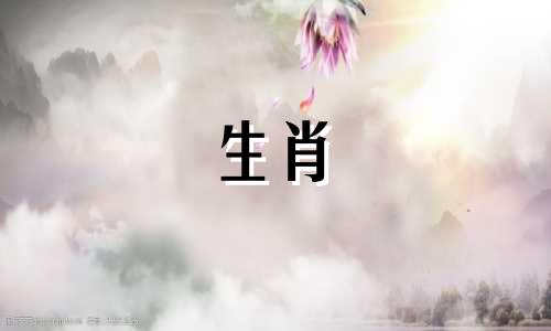 你知道哪些生肖女最喜欢拌嘴吗？她们是吃软不吃硬的，惹不得骂不得。