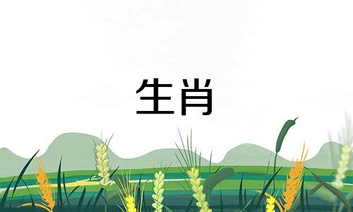 哪些生肖的正财运较好 三大财运最佳的生肖