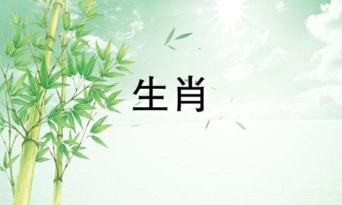 生肖兔和马的属相是否相合 属兔人和属马的人是否合适