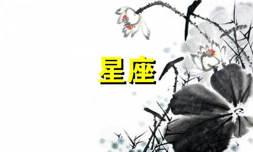 宇智波佐助星座分析女 十二星座对应的火影忍者