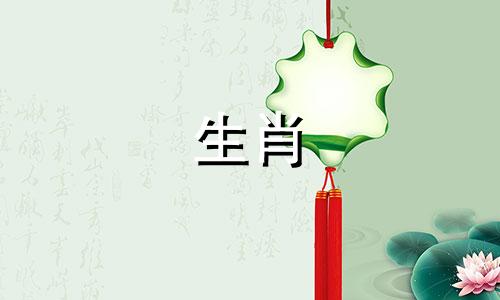 哪些属相与生肖龙不兼容 属龙的人不能与哪些属相进行商业合作