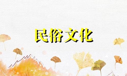 屋顶养蜂风水禁忌图解大全：是否可以在自家三楼顶上饲养蜜蜂？