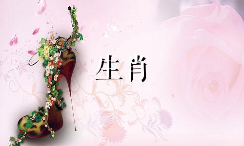 为什么属相会与生肖兔相冲 冲兔的含义是什么