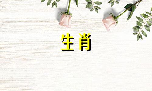 十二生肖属相兔的运势如何 如何分析2022年生肖兔的运势 