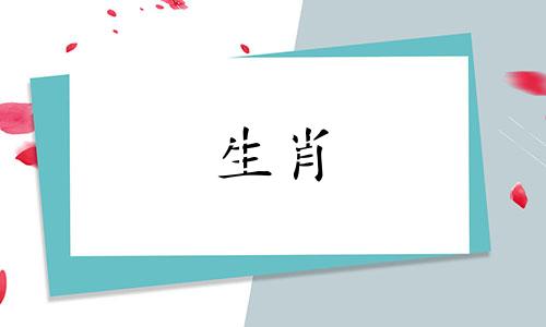 属猪的最佳婚配是哪个生肖，属猪的婚配属相最好的是哪些生肖？
