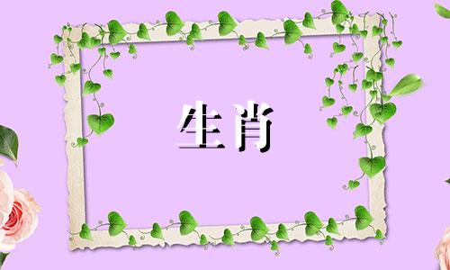 属龙的贵人生肖是什么? 对其他属相的契合度分析