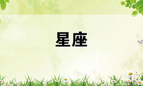 十二星座圣斗士的绝技是什么？