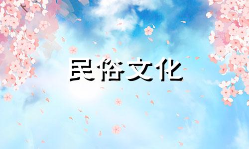 七叶莲的风水禁忌和注意事项 七叶莲放置的最佳位置 七叶莲风水摆放的禁忌有哪些 容易养护吗