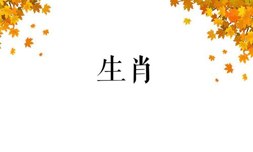 1979属羊有几段婚姻关系 79属羊命中注定的情人
