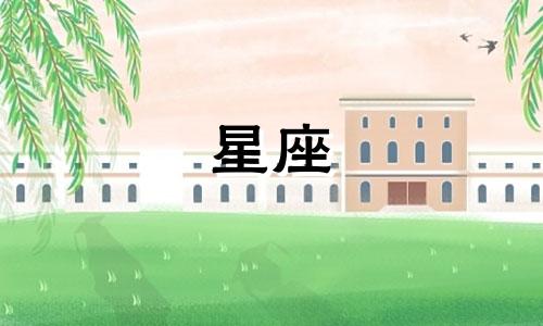 十二星座在恋爱时代表什么花朵 十二星座的守护花和花语