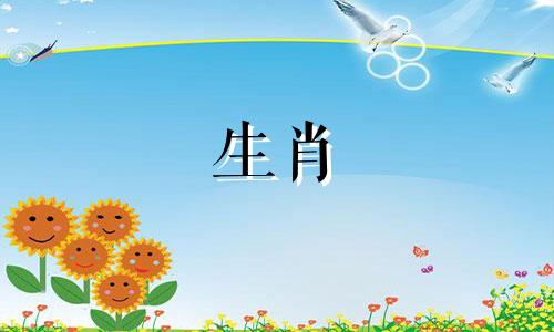 最狡猾的生肖女人是羊 女人哪个属相命运最差，女人属羊真的命运不好吗